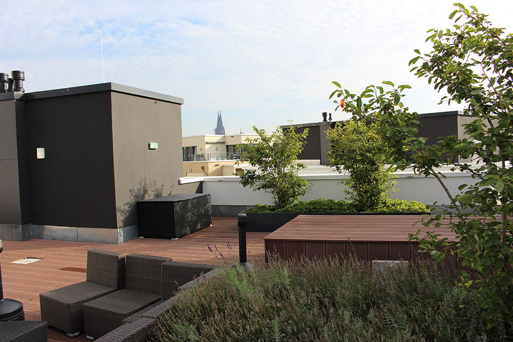 student rooms with community terrace in Cologne student rooms with community terrace in Cologne